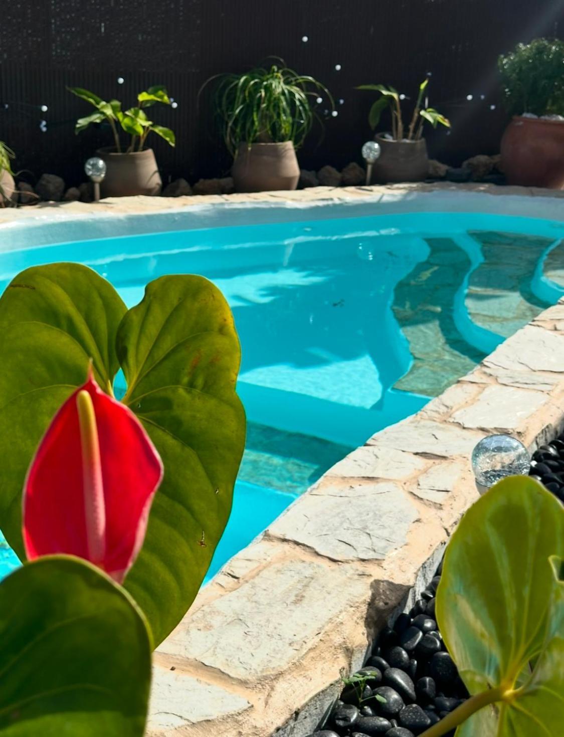 サンタクルスデテネリフェ Krisant Gold Rural Luxury Privat Poolヴィラ エクステリア 写真